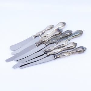 Investeringssilver S830 269,6g